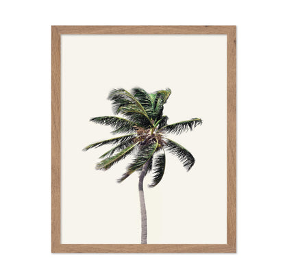 Windy Palm Tree