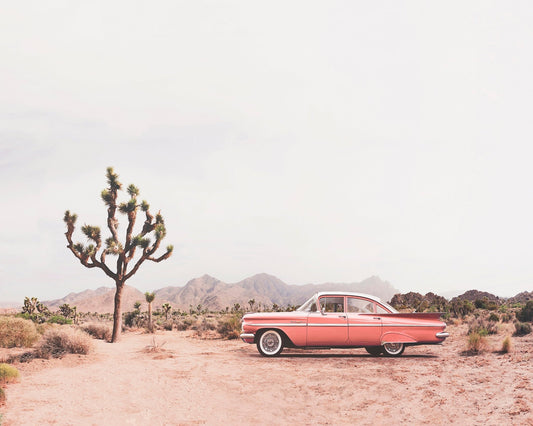 In The Desert