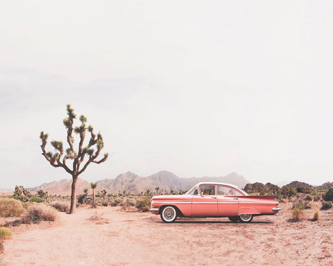 In The Desert