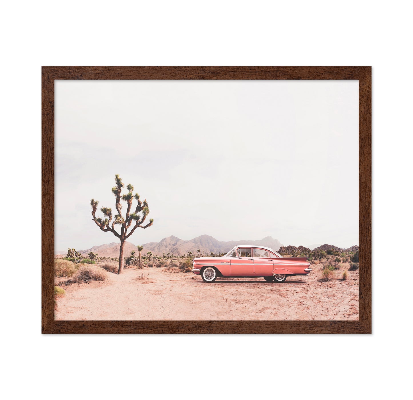 In The Desert