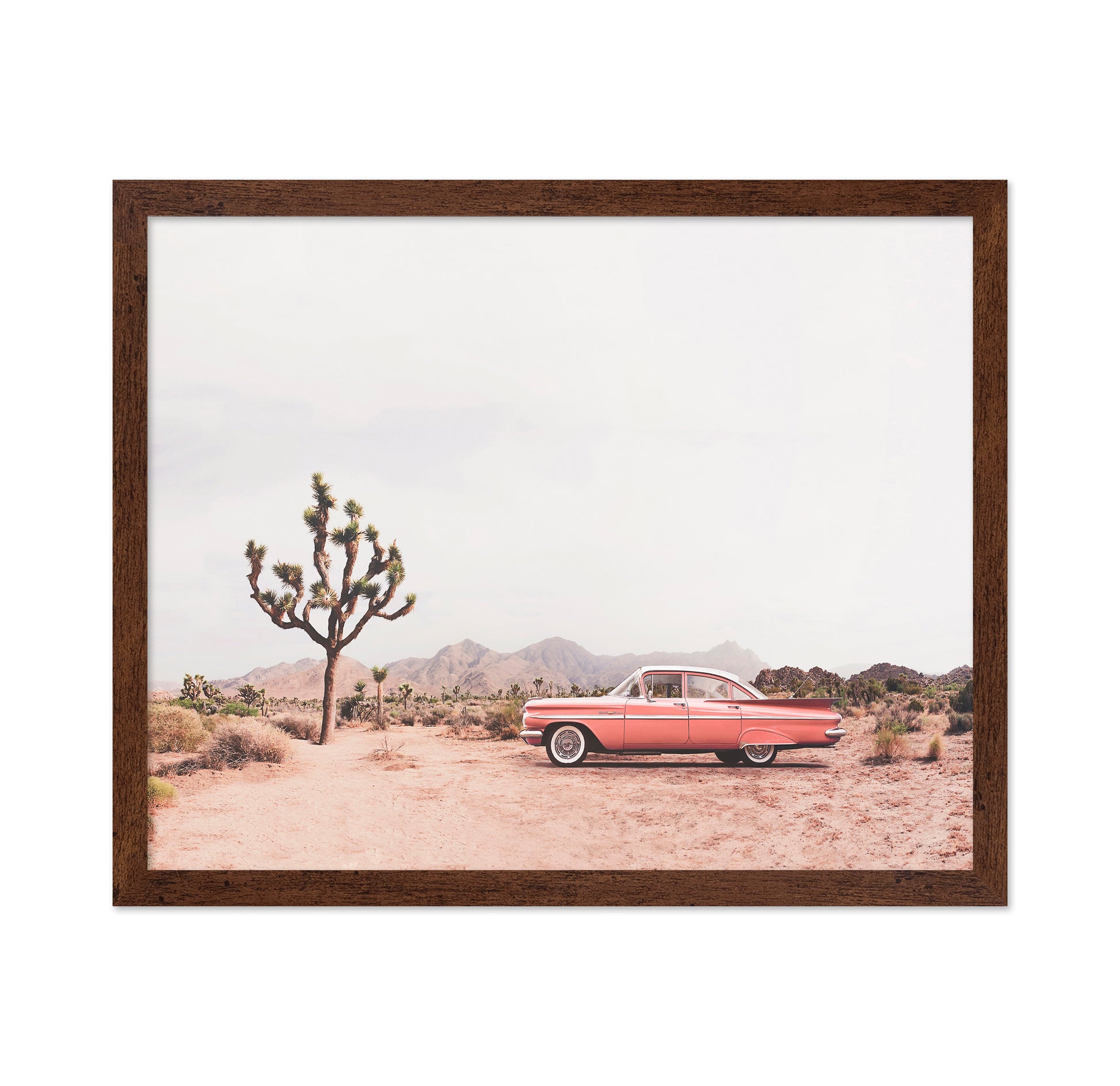 In The Desert
