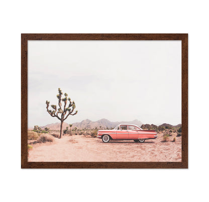 In The Desert
