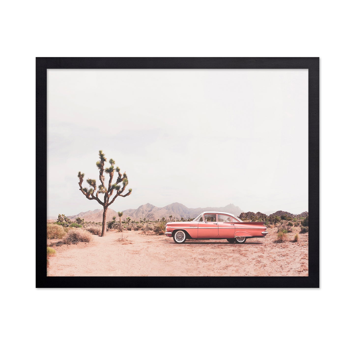 In The Desert