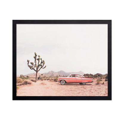 In The Desert
