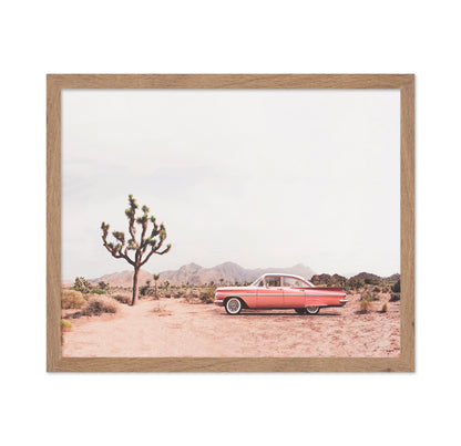 In The Desert