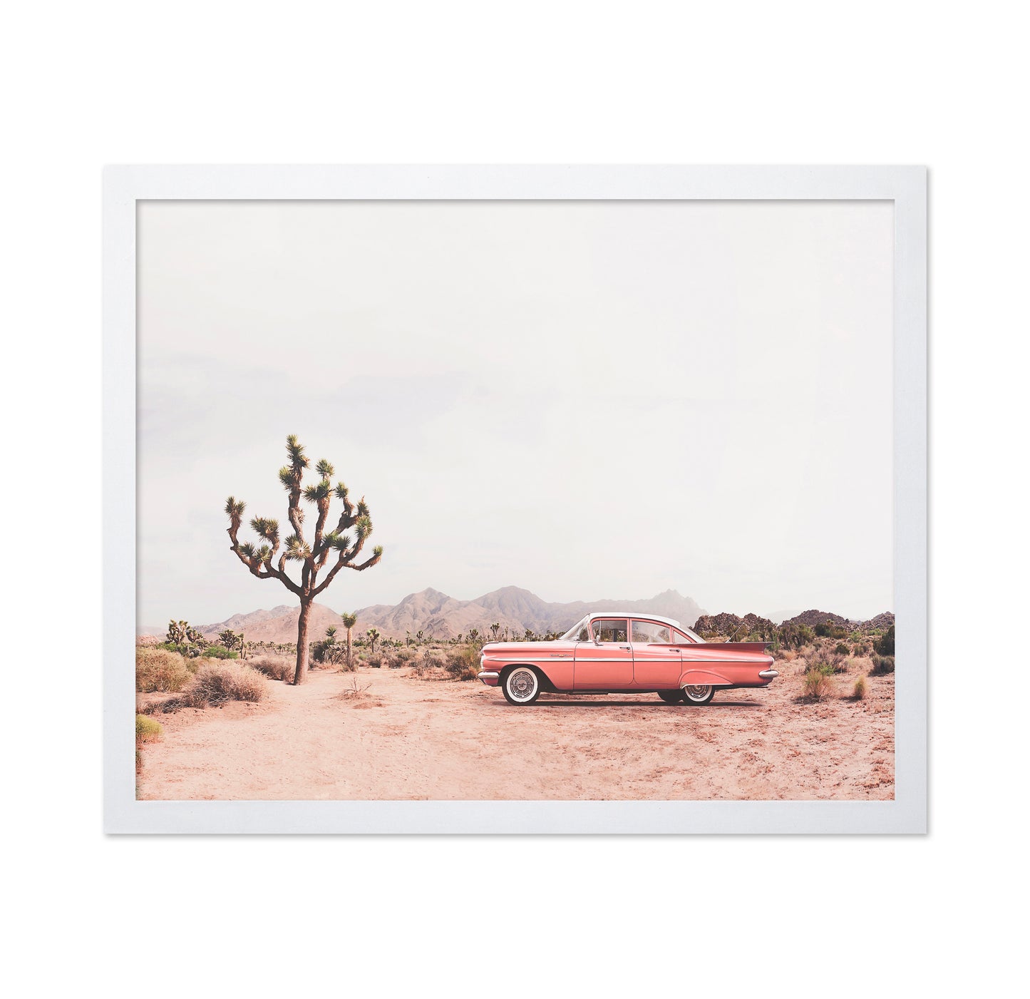 In The Desert