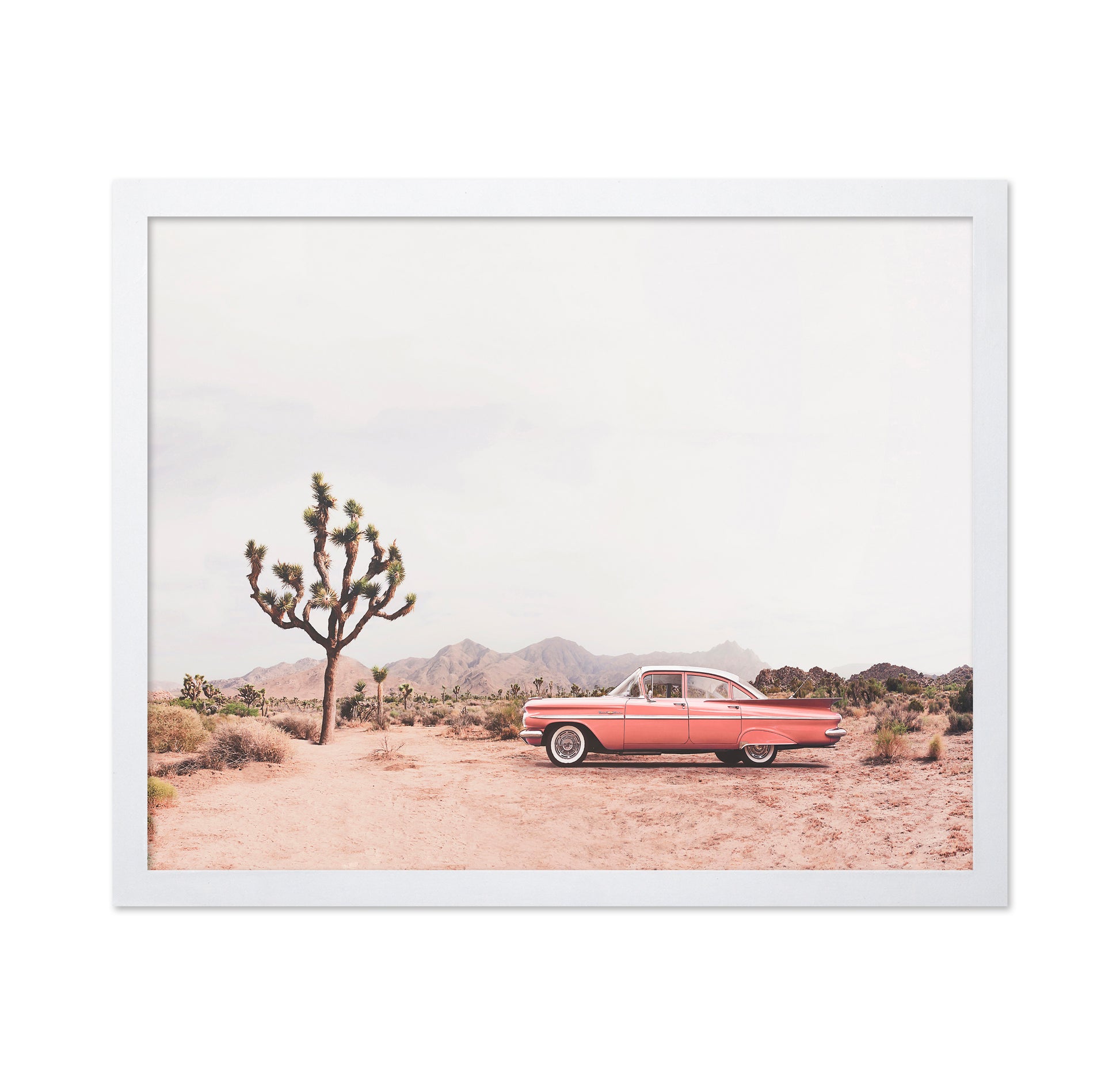 In The Desert