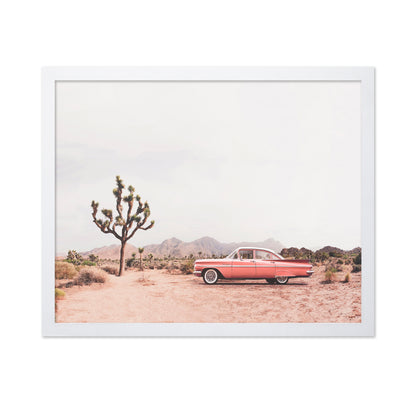 In The Desert