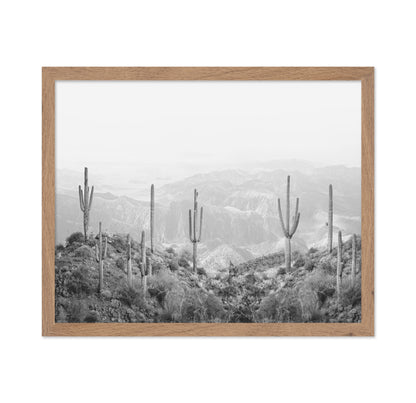 Western Cactus