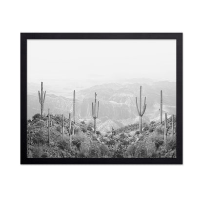 Western Cactus
