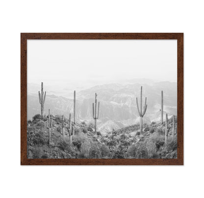 Western Cactus