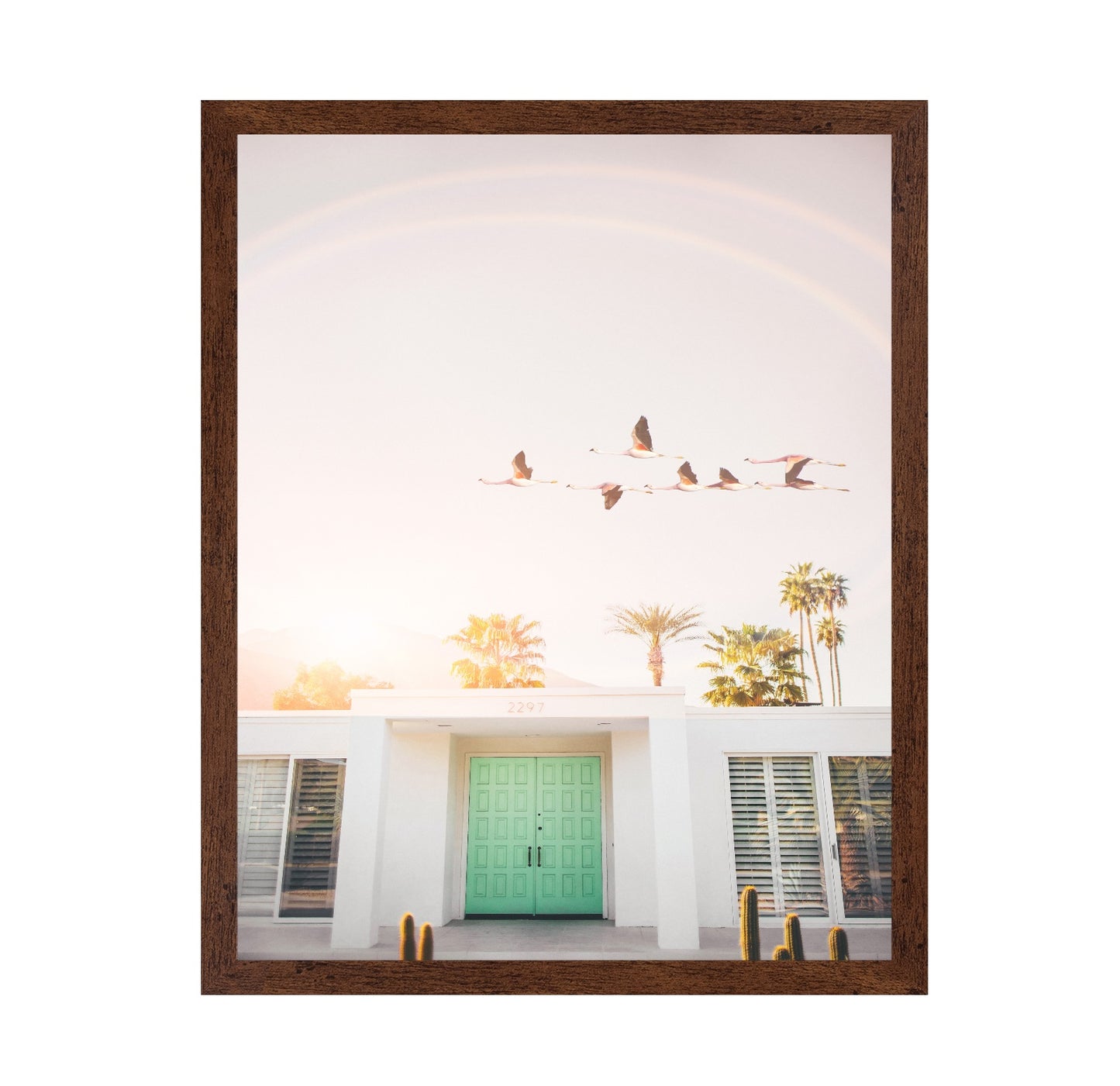 Flamingos In Palm Springs