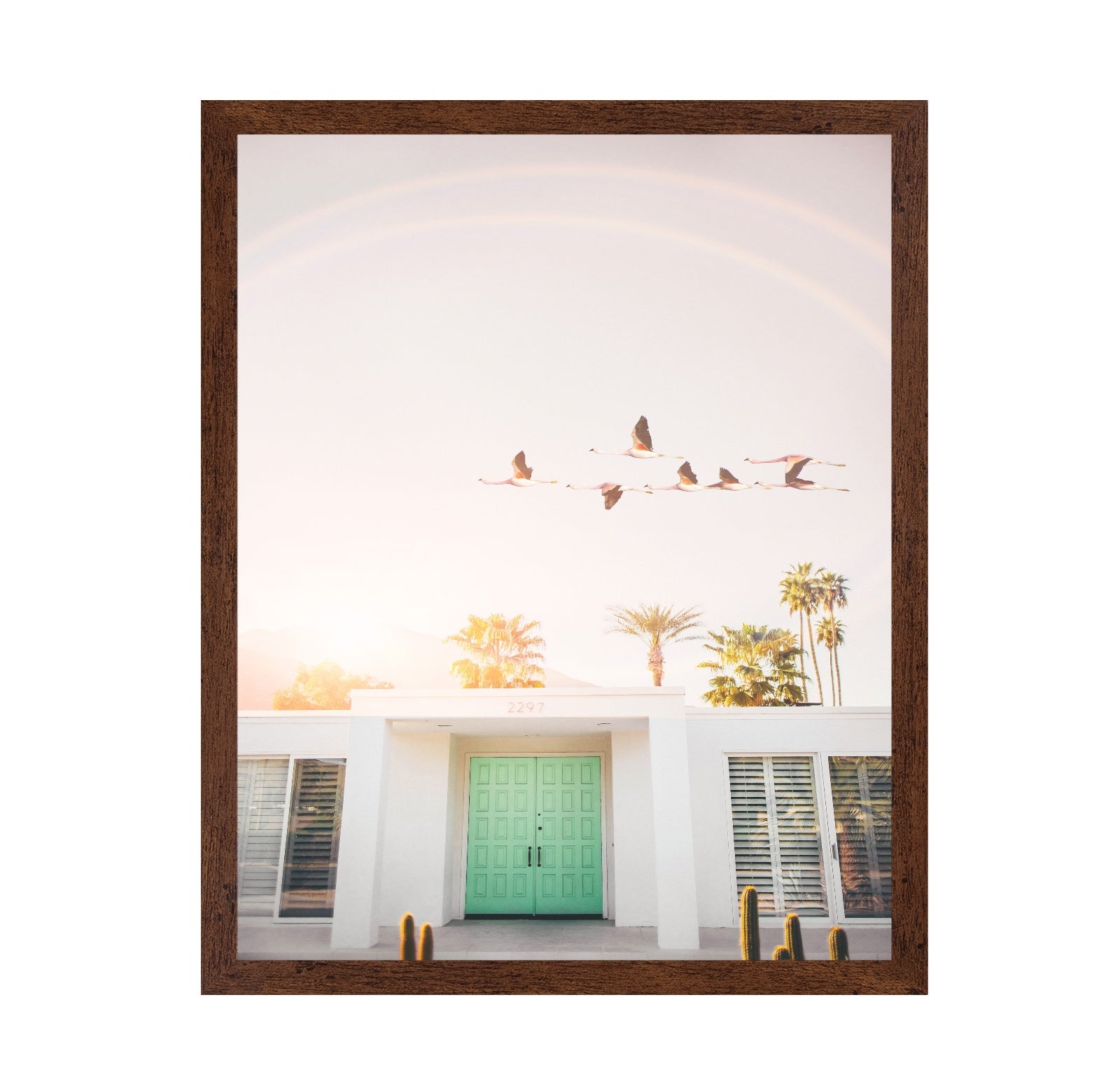 Flamingos In Palm Springs