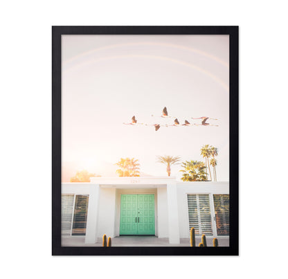 Flamingos In Palm Springs