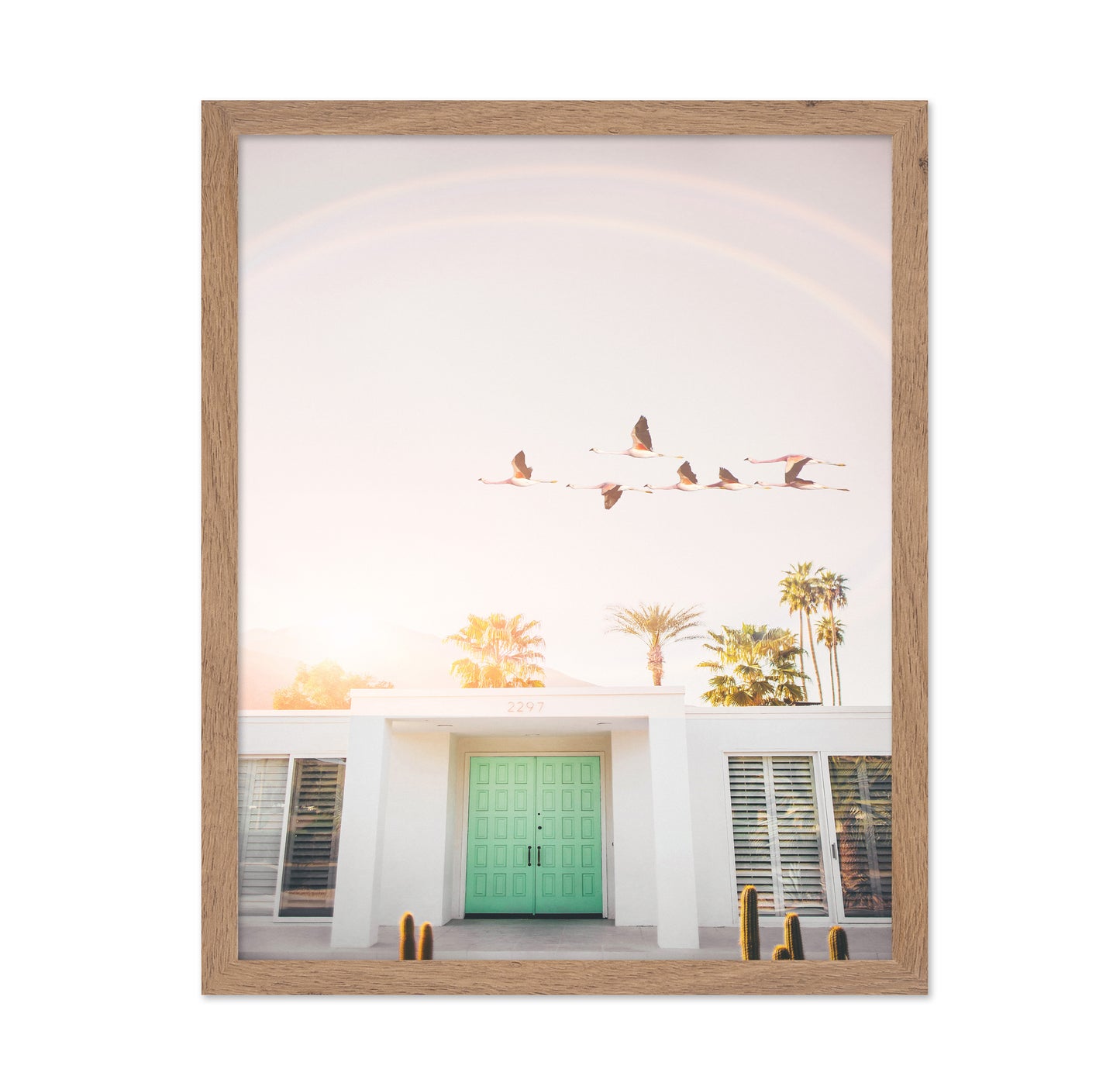 Flamingos In Palm Springs