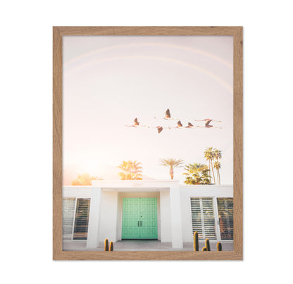 Flamingos In Palm Springs