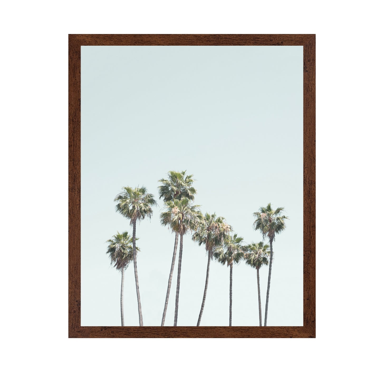 Blue Palm Trees