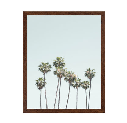 Blue Palm Trees