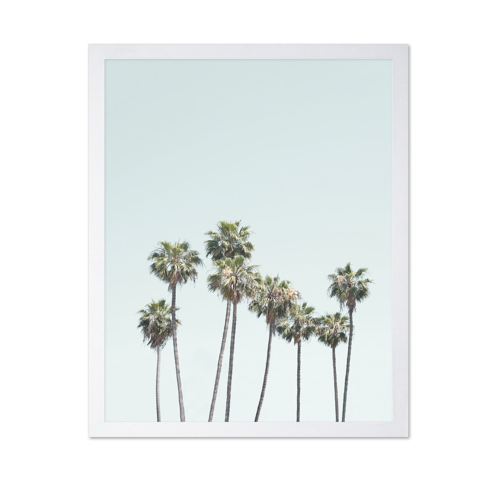 Blue Palm Trees