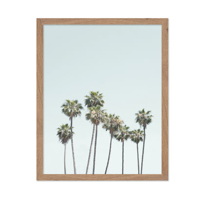 Blue Palm Trees