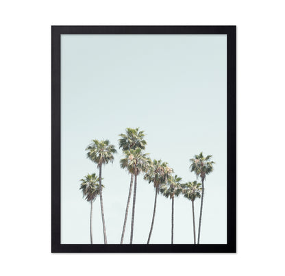 Blue Palm Trees
