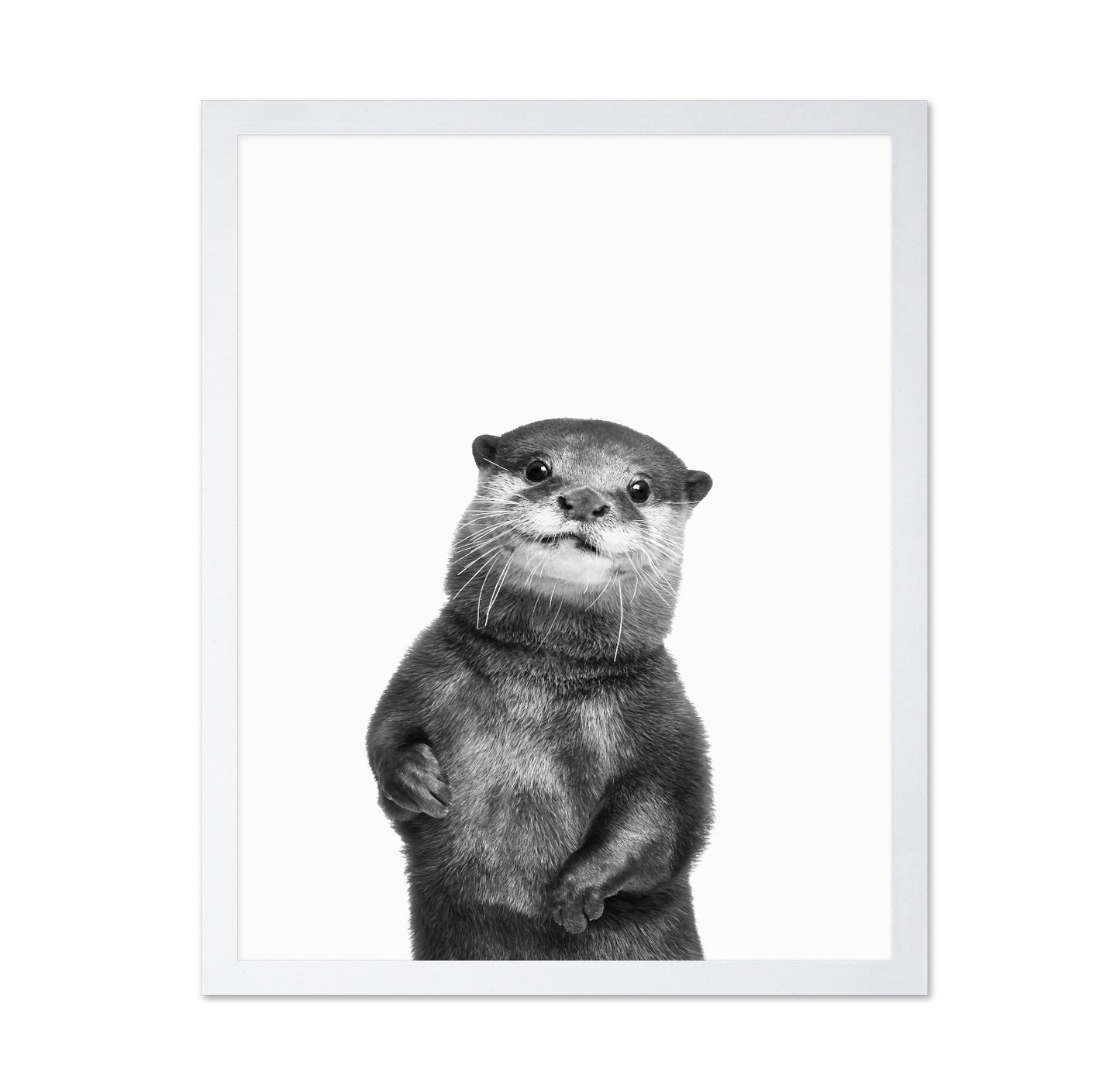 Otter