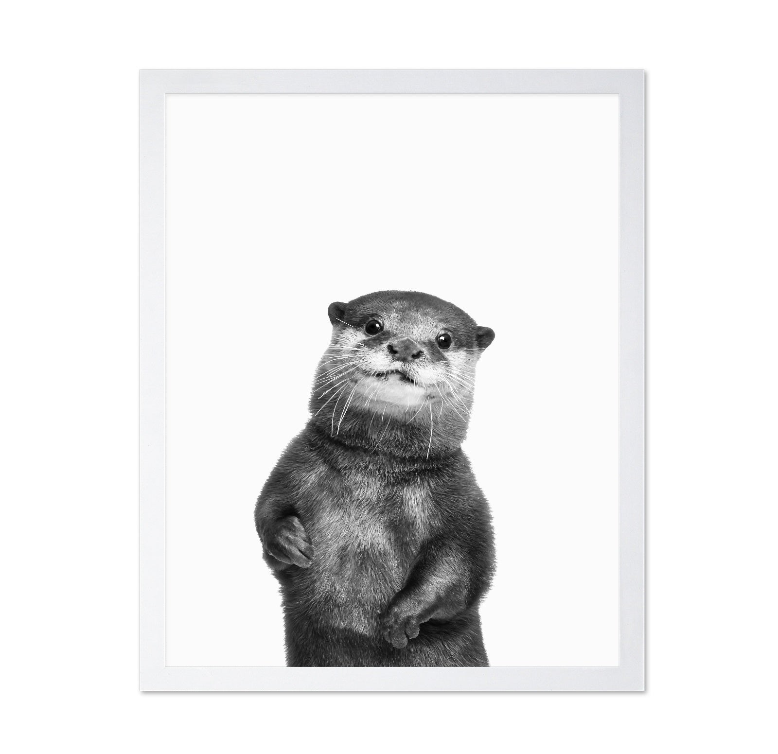 Otter