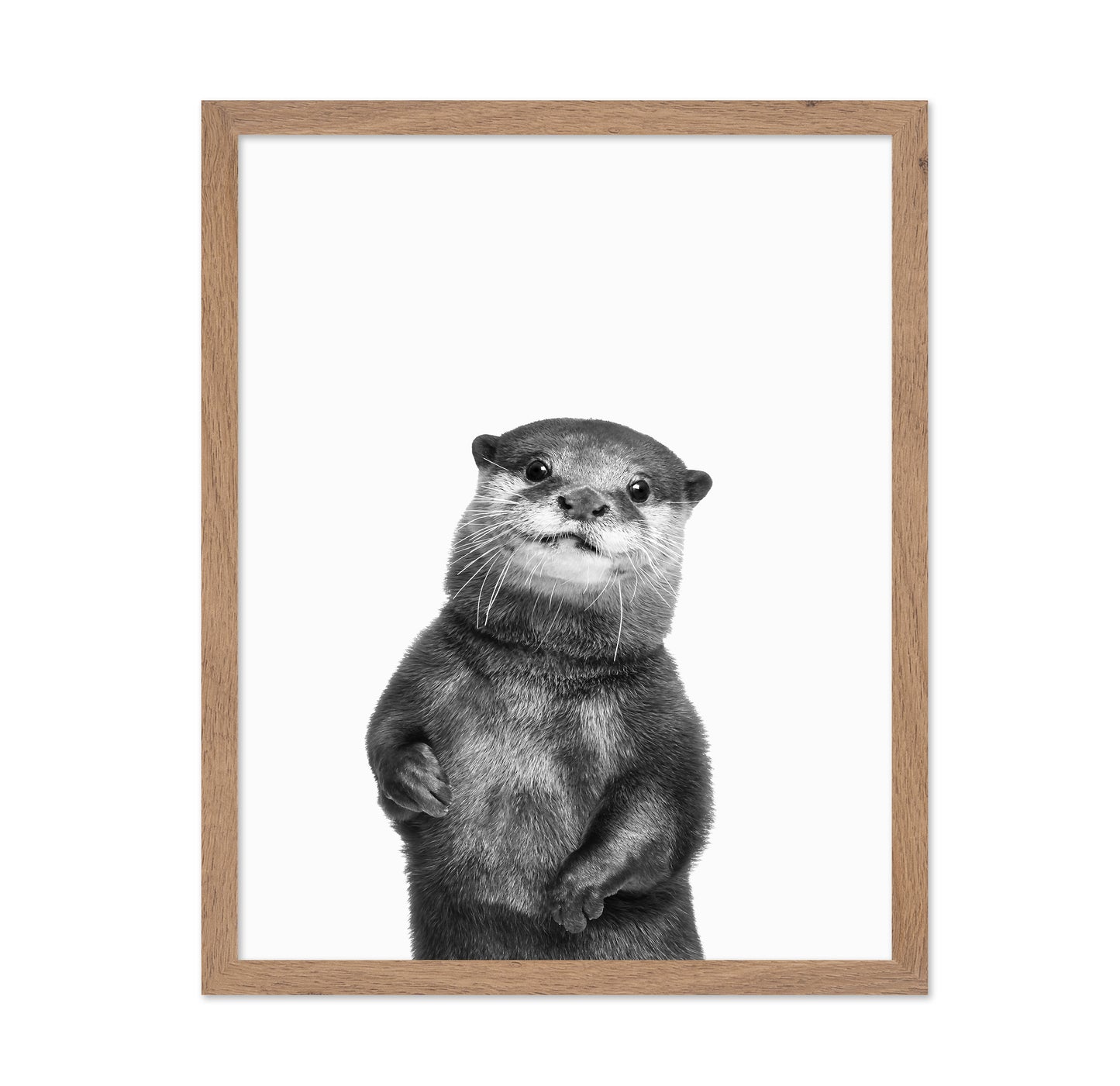 Otter