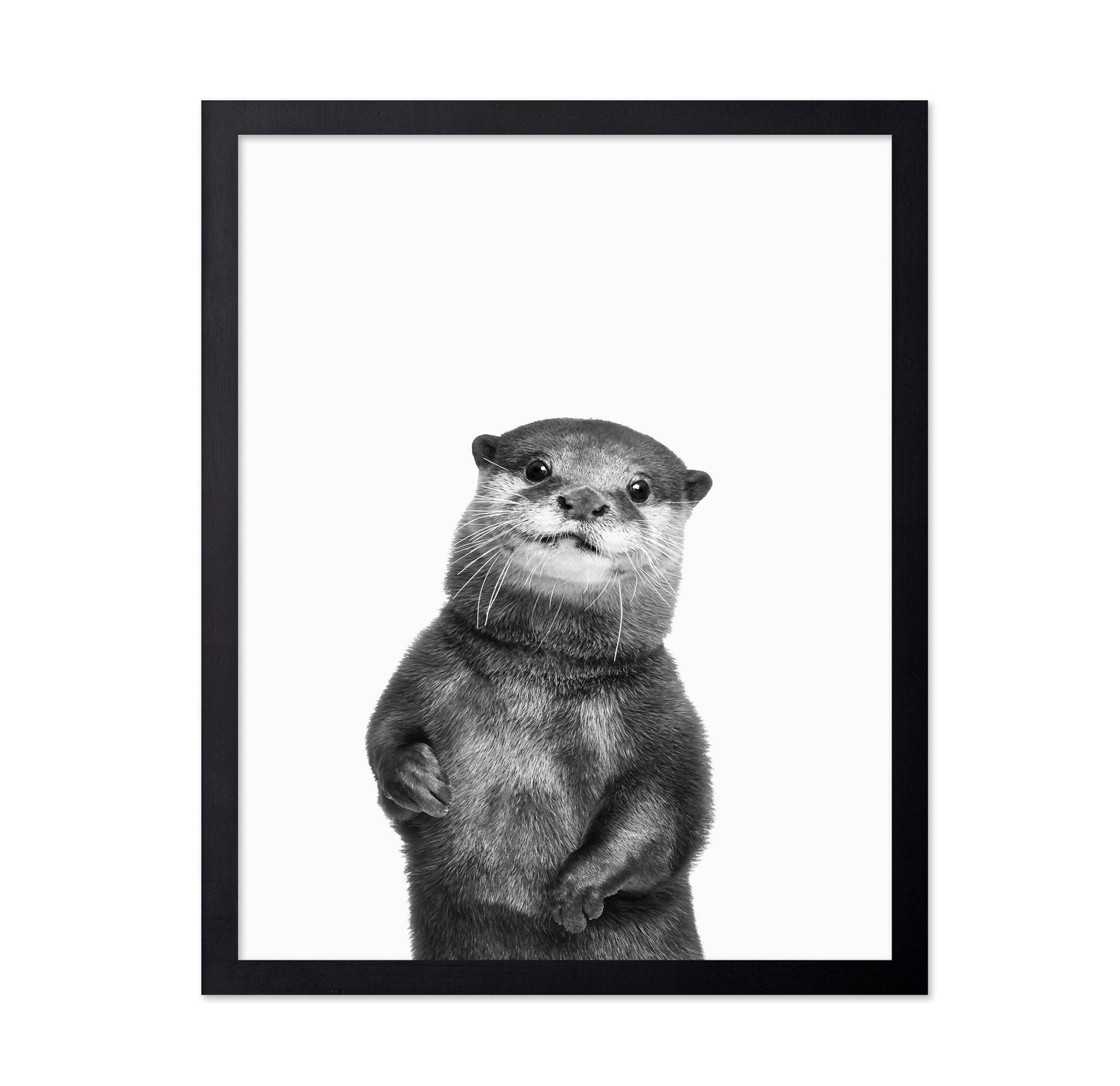 Otter