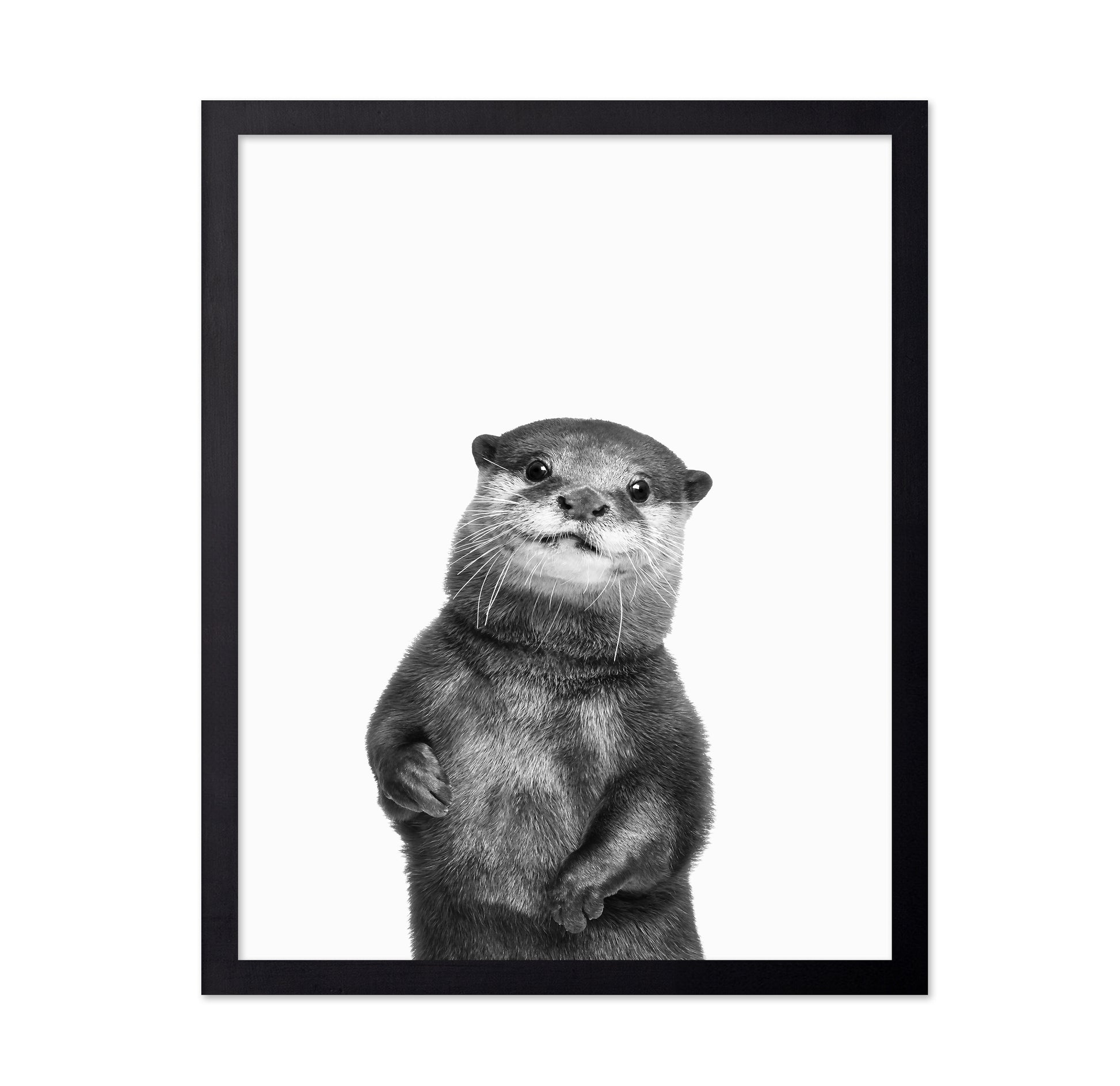 Otter