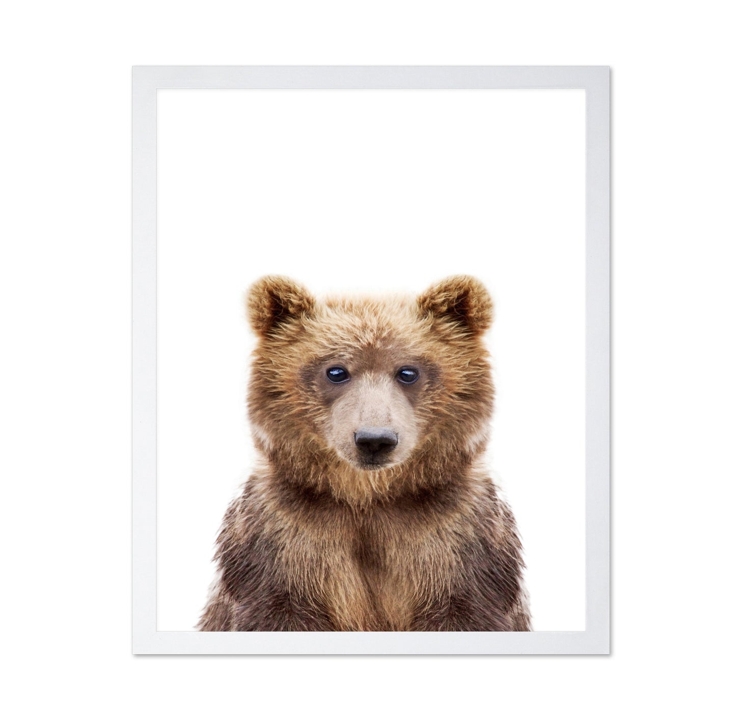 Baby Bear