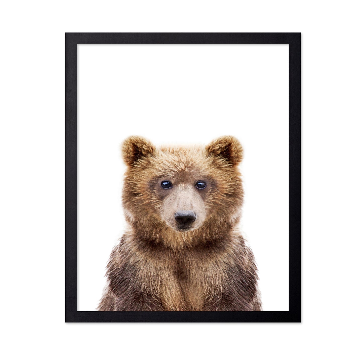 Baby Bear