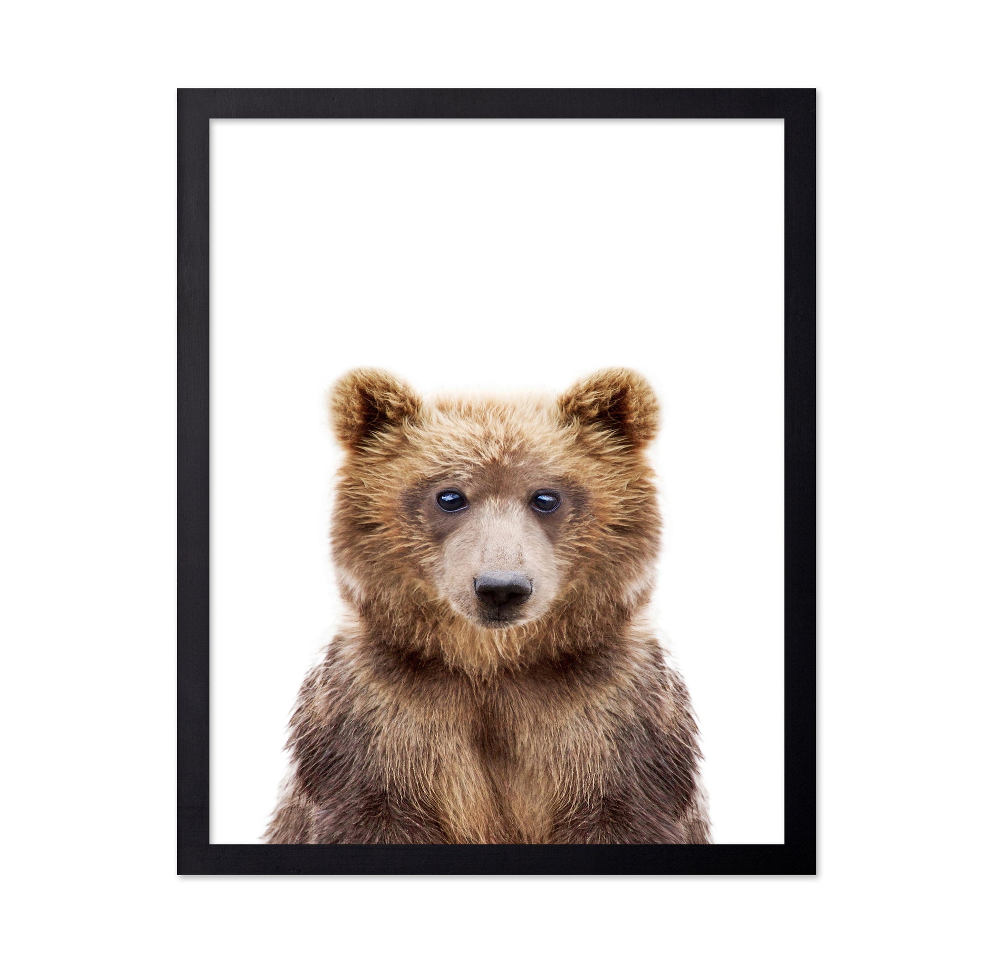 Baby Bear