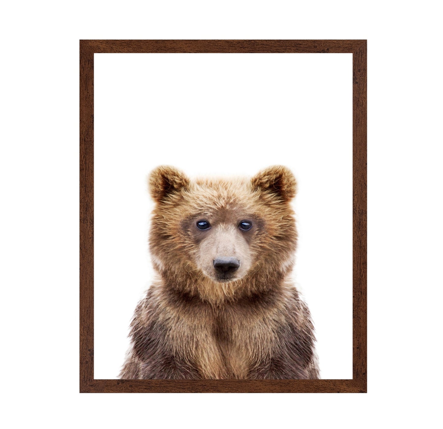 Baby Bear