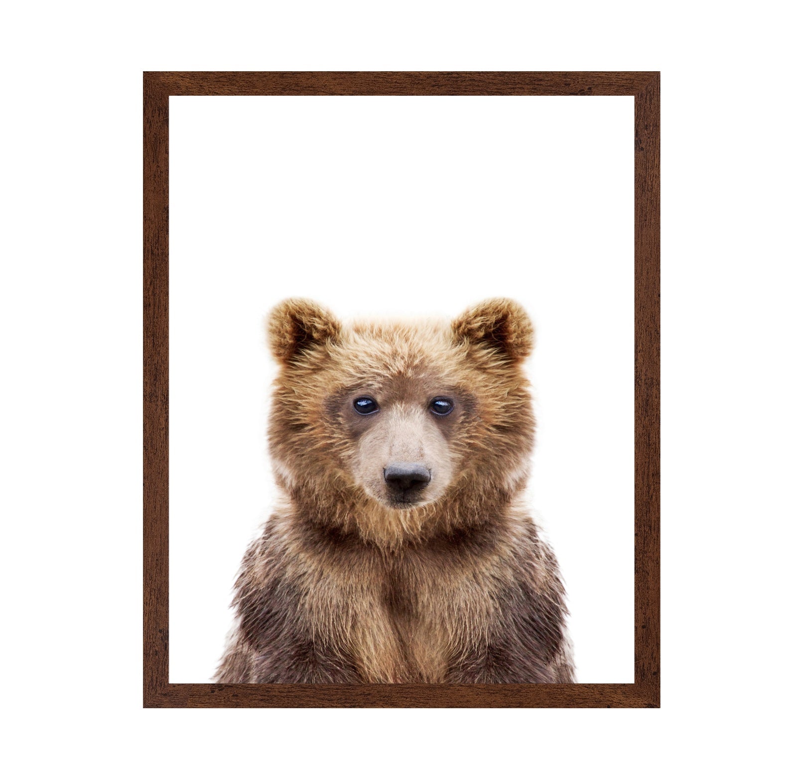 Baby Bear