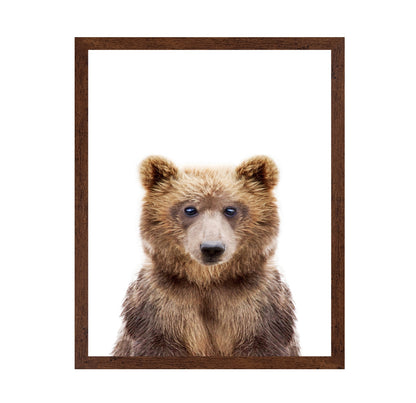 Baby Bear
