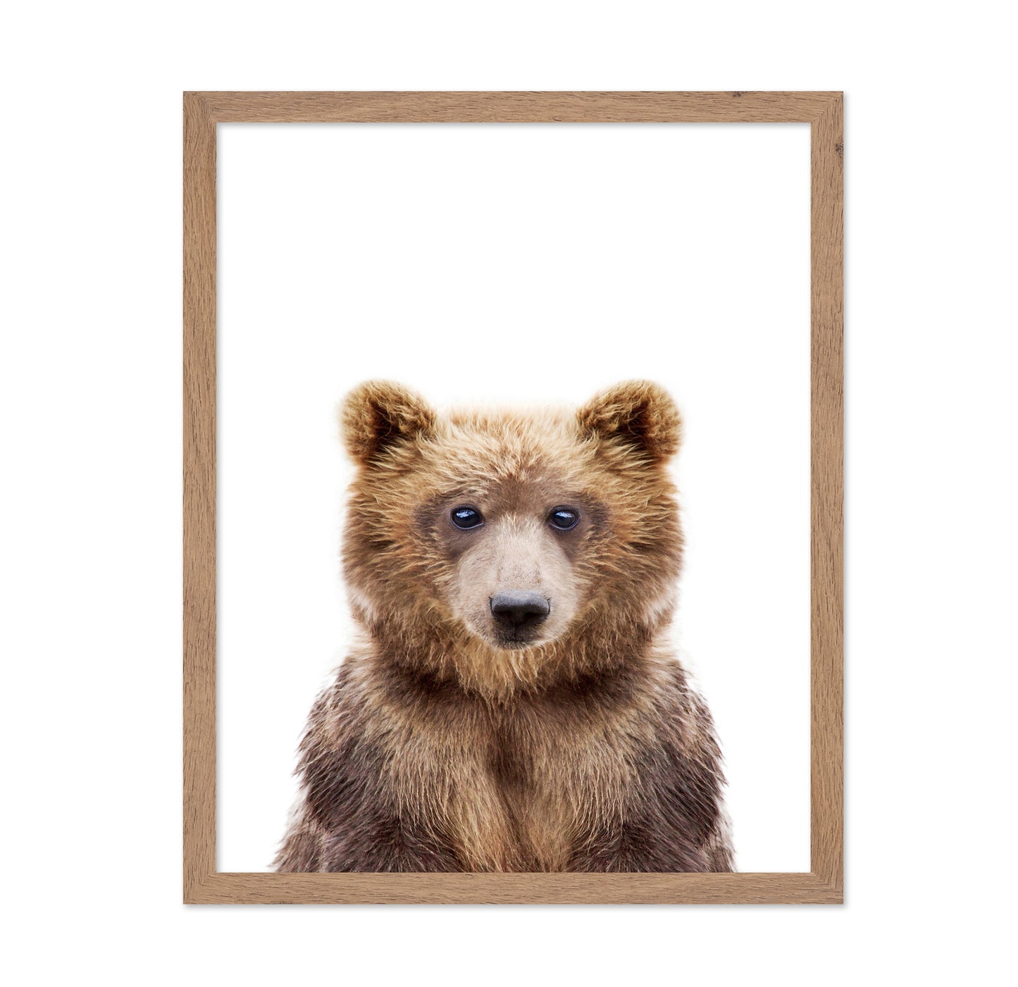 Baby Bear