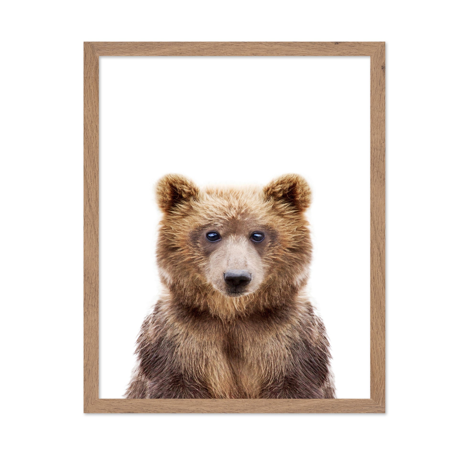Baby Bear