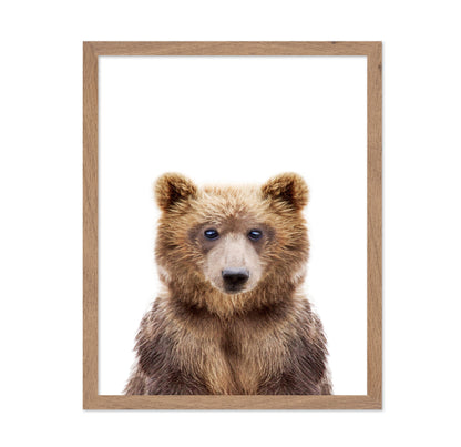 Baby Bear