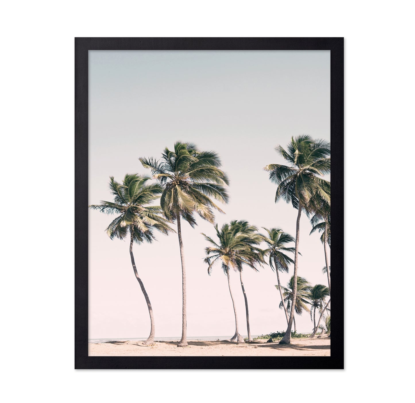 Blush Tropical Trees