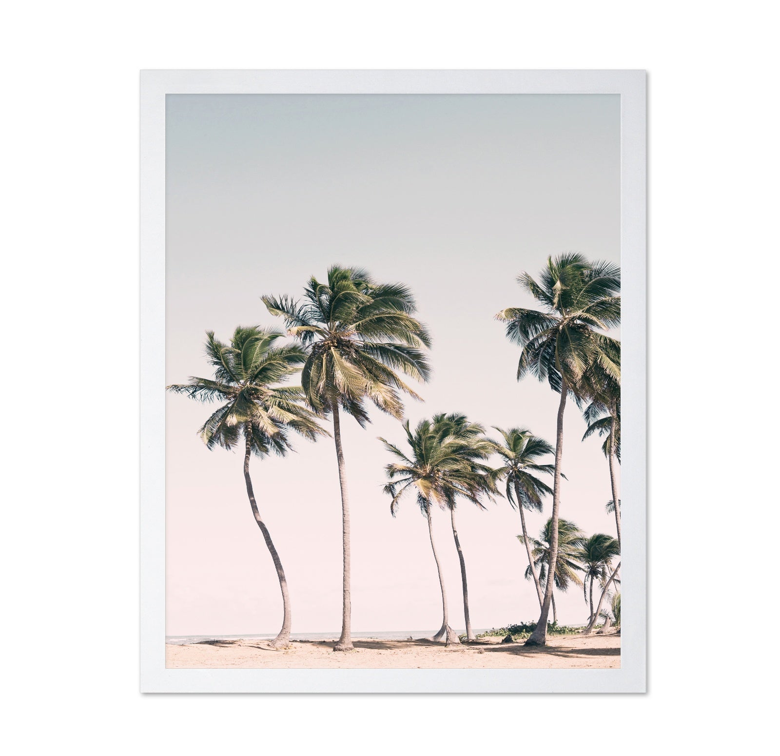 Blush Tropical Trees