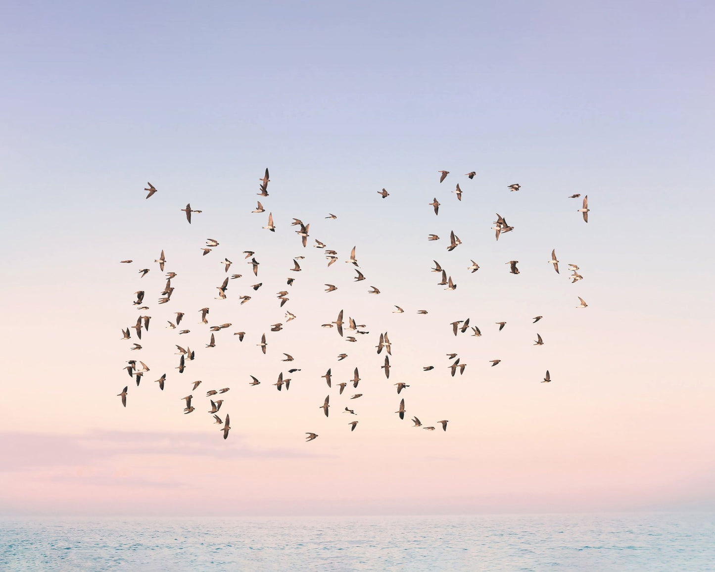 Sunset Flight