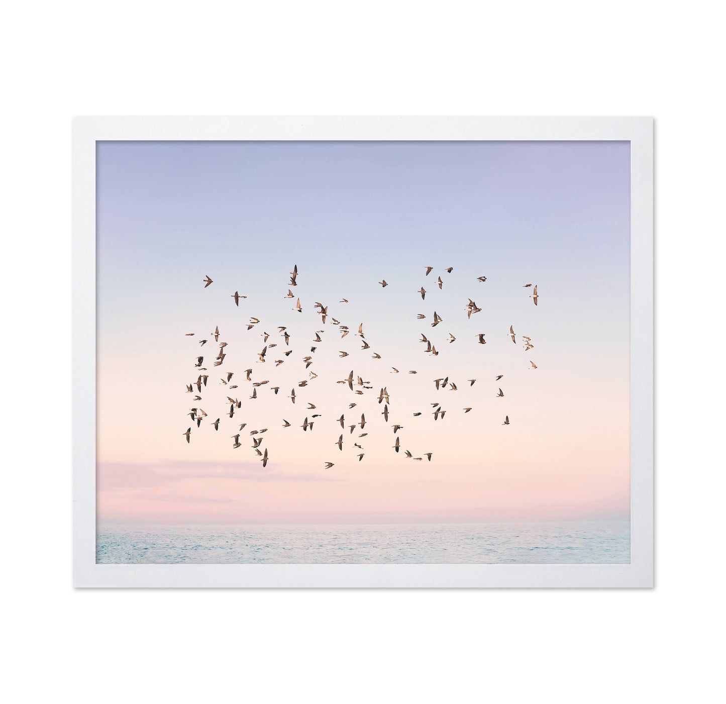 Sunset Flight