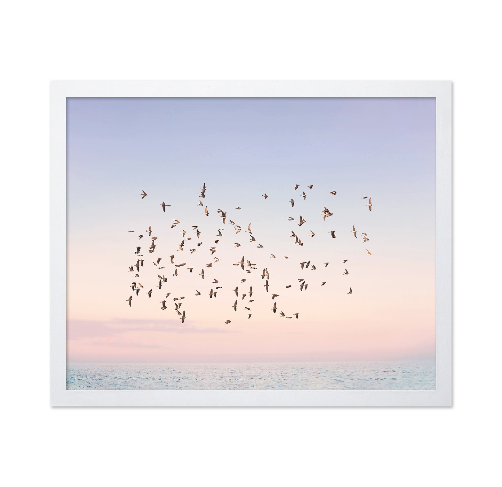 Sunset Flight