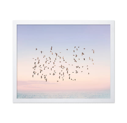 Sunset Flight