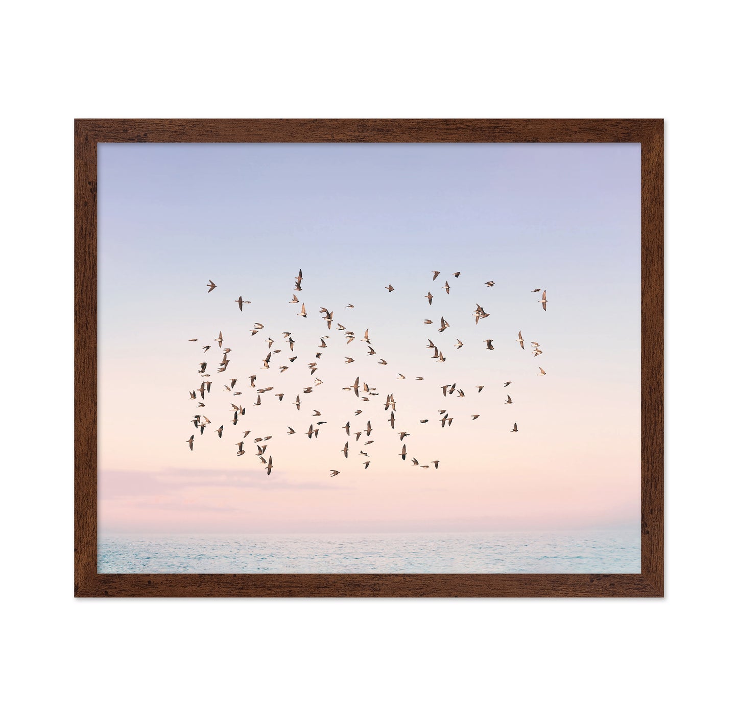 Sunset Flight