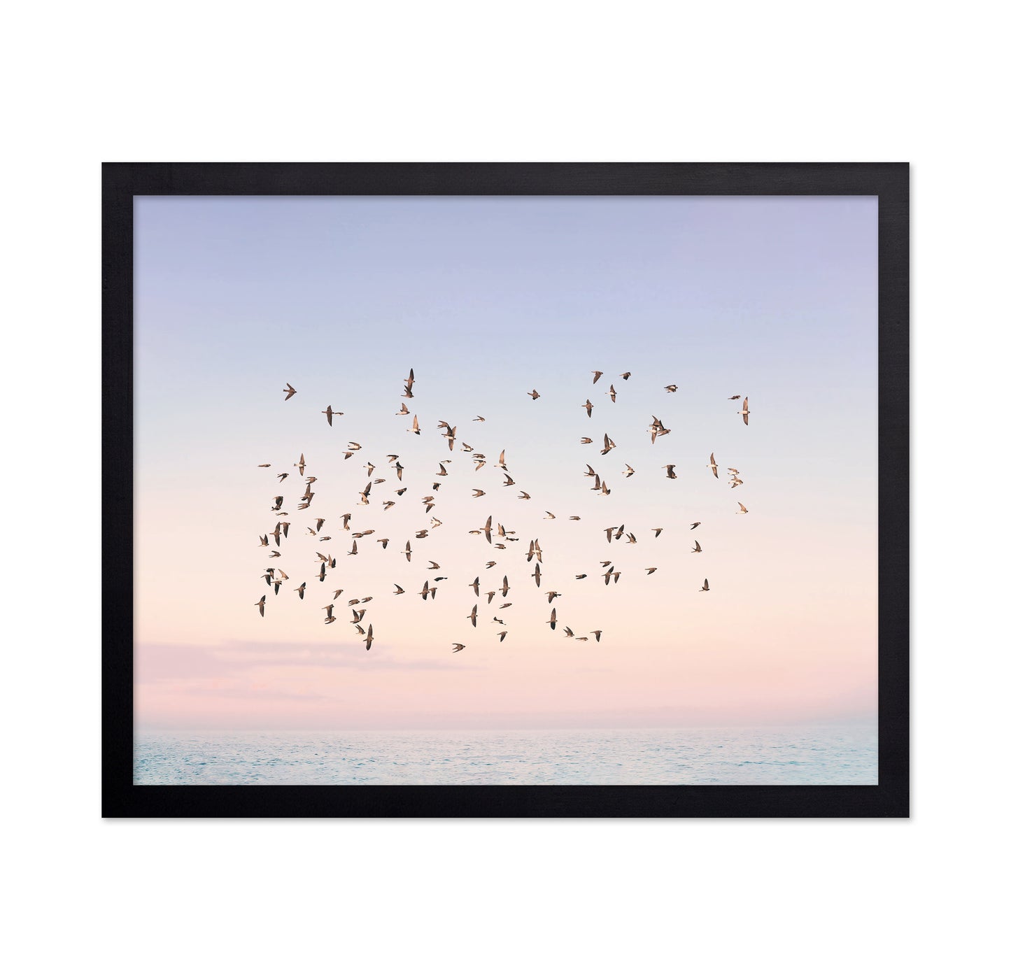 Sunset Flight