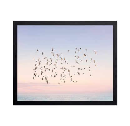 Sunset Flight