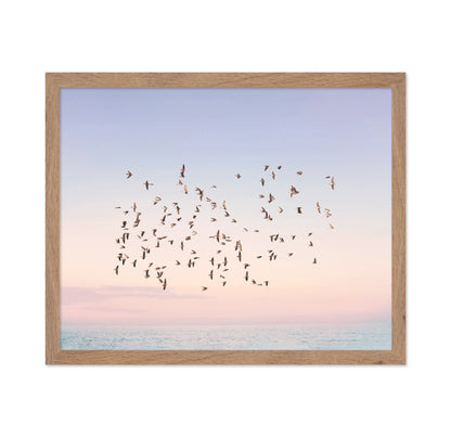 Sunset Flight