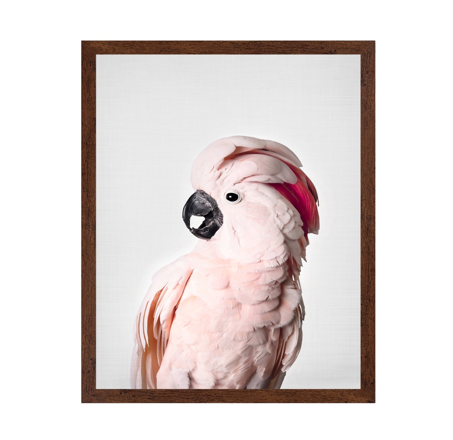 Pink Cockatoo